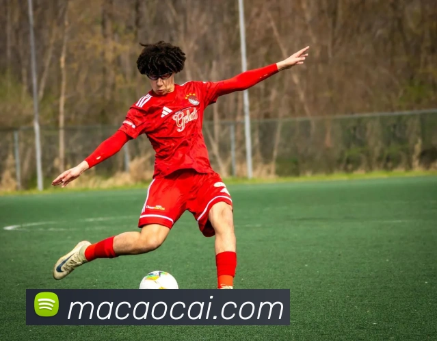 澳门彩平台生态图